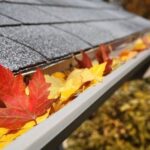Gutter Cleaning