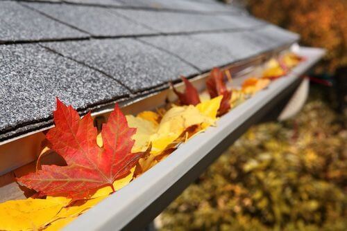 Gutter Cleaning Webster NY